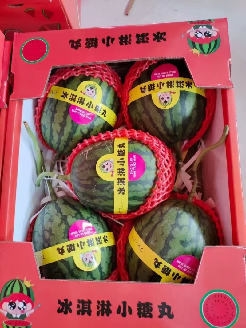 山东莘县小糖丸西瓜，礼品西瓜品质保证服务周到产地直发