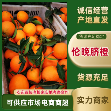 精品伦晚脐橙，全国供货，价格优惠，保质保量，可视频看货