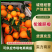精品伦晚脐橙，全国供货，价格优惠，保质保量，可视频看货