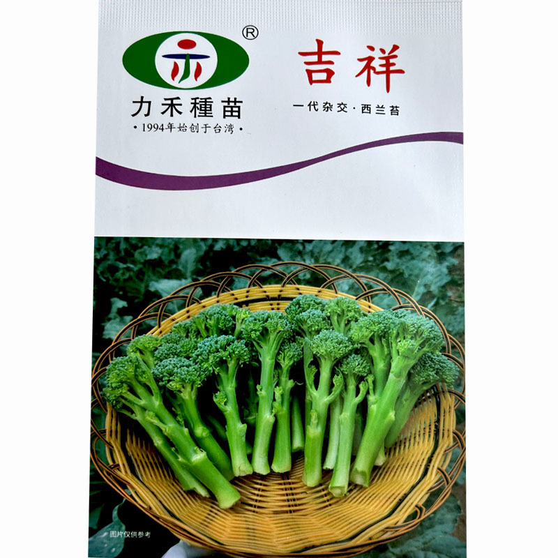 西兰苔种子新力禾吉祥1000粒芥蓝芥菜小西兰大田