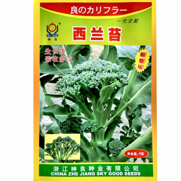 西兰苔种子神良5g生长快小西兰花多茬采收大田基地种