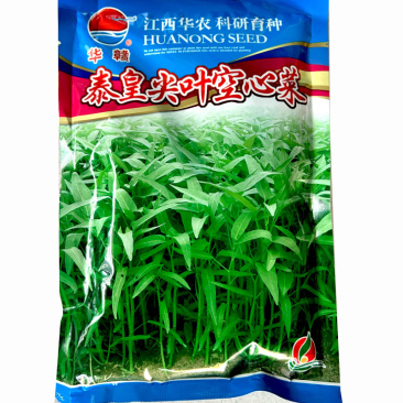 尖叶空心菜种子空心菜种籽泰国空心菜籽种大田种高产