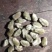 精品中药材辛夷花全品类量大从优，有需要的联系