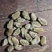 精品中药材辛夷花全品类量大从优，有需要的联系