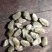 精品中药材辛夷花全品类量大从优，有需要的联系