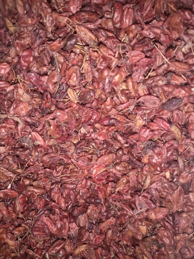 精品山茱萸常年供应货源充足价格美丽可视频看货真材实料