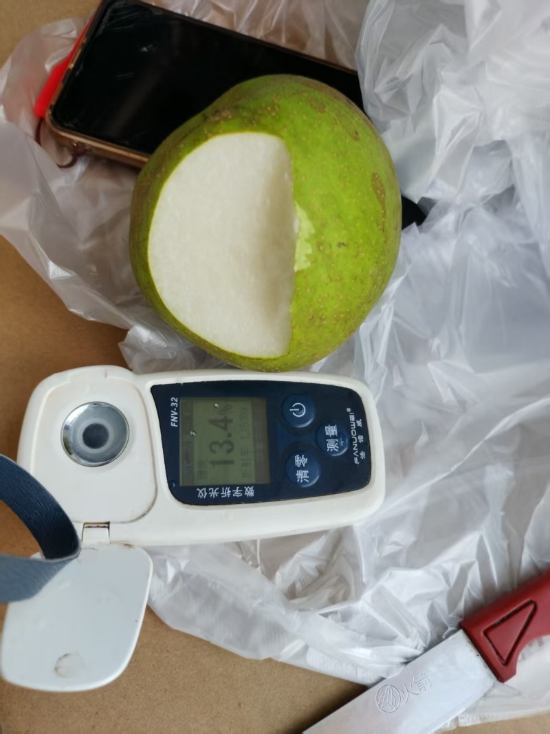 产地直发，翠冠梨糖分可达到13-14，八百万斤存货