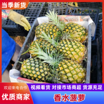 徐闻精品香水菠萝，产地直销质量保证一手货源全国发货
