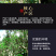 新会生晒小青柑宫廷普洱茶熟茶柑普橘普茶叶礼盒装600克