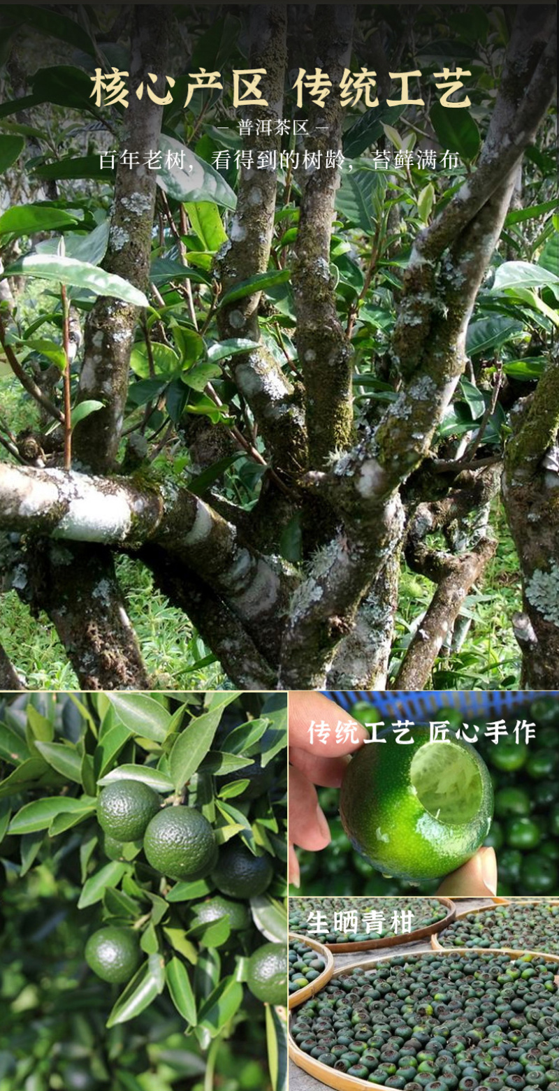 正宗新会小青柑云南普洱茶陈皮柑普茶熟茶罐装新茶小青桔茶叶