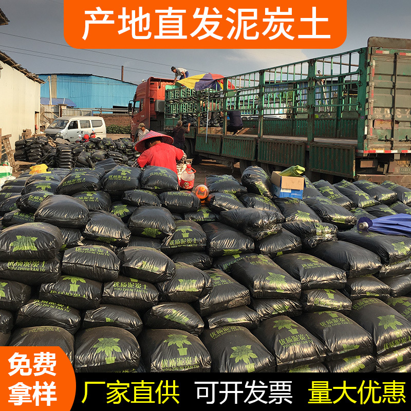 批发园林绿化工程泥炭土厂家花卉绿植