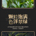 2026新茶安溪铁观音正宗高山铁观音茶叶礼盒装500g