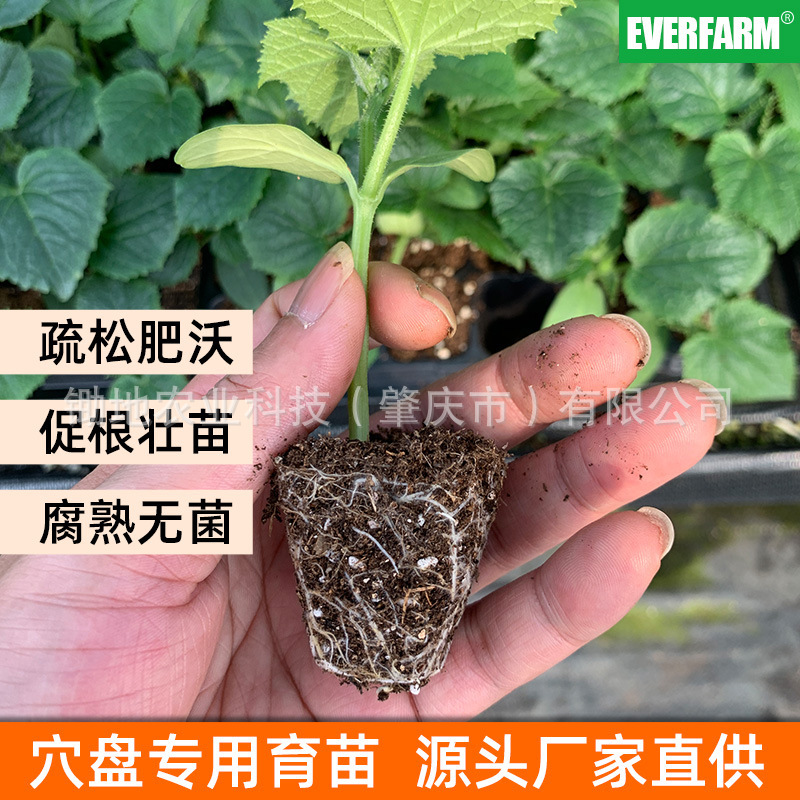 进口泥炭育苗基质厂家直发