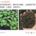 进口泥炭育苗基质厂家直发