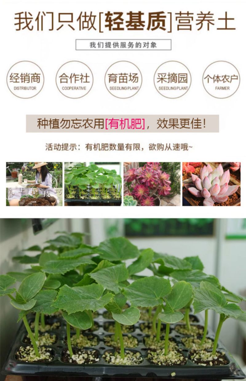 进口泥炭育苗基质厂家直发