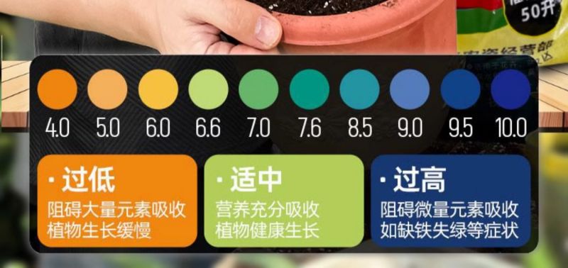 进口泥炭育苗基质厂家直发