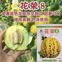 花荣8甜瓜种子500粒原装甜脆可口花皮绿肉高糖甜瓜