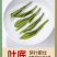 明前龙井茶2026新茶杭州高山绿茶春茶嫩芽浓香型茶叶