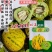 吉糖精彩甜瓜种子500粒原装花皮绿肉绿瓤上糖早