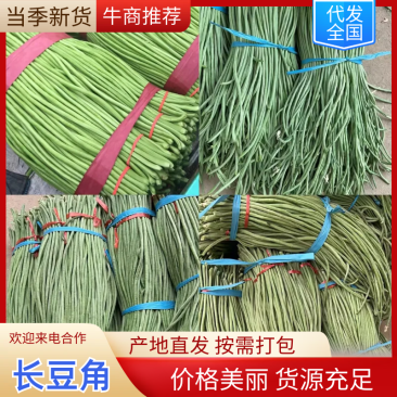 豆角长豆角青条豆角豇豆产地直供一手货源欢迎咨询