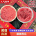 （麒麟无籽）无籽西瓜/陕西西瓜/精品麒麟/供应电商市场