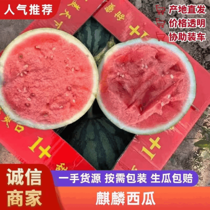 （麒麟无籽）无籽西瓜/陕西西瓜/精品麒麟/供应电商市场