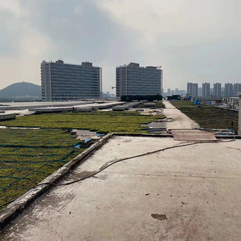 广东优质泥炭土厂家直发