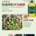 奥莱丽娅特级初榨纯橄榄油西班牙原油进口一件代发