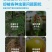 80%烯啶吡蚜酮烯啶虫胺杀虫剂农药蚜虫水稻稻飞虱农用杀虫