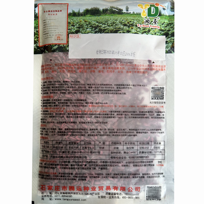 油葵种子矮大头GW667榨油王子三系杂交200g大田