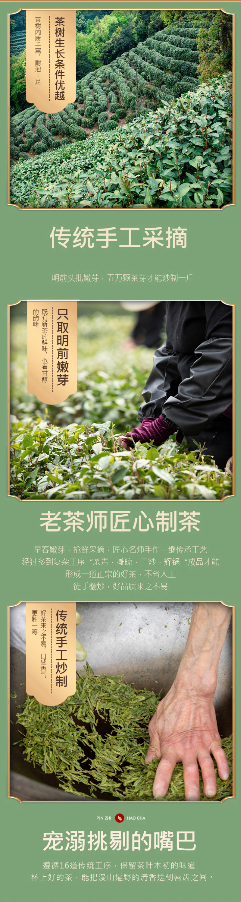2026新茶正宗明前浓香龙井茶叶500克罐装绿茶高山龙井