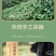 新茶龙井茶正宗杭州明前龙井绿茶豆香型春茶散装茶叶500g