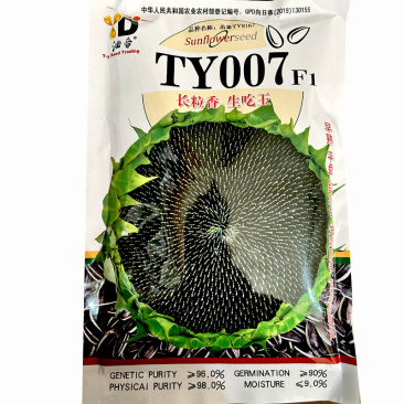 向日葵种子杂交葵花籽可食用长粒香黑籽早熟平盘生吃