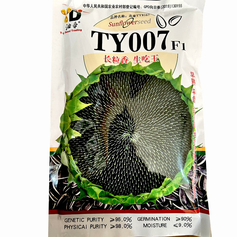 向日葵种子杂交葵花籽可食用长粒香黑籽早熟平盘生吃