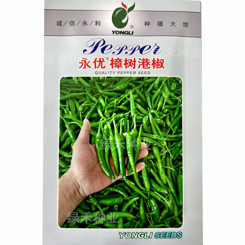 樟树港椒种子耐寒早熟正品薄皮软皮青椒香辣味基地品种