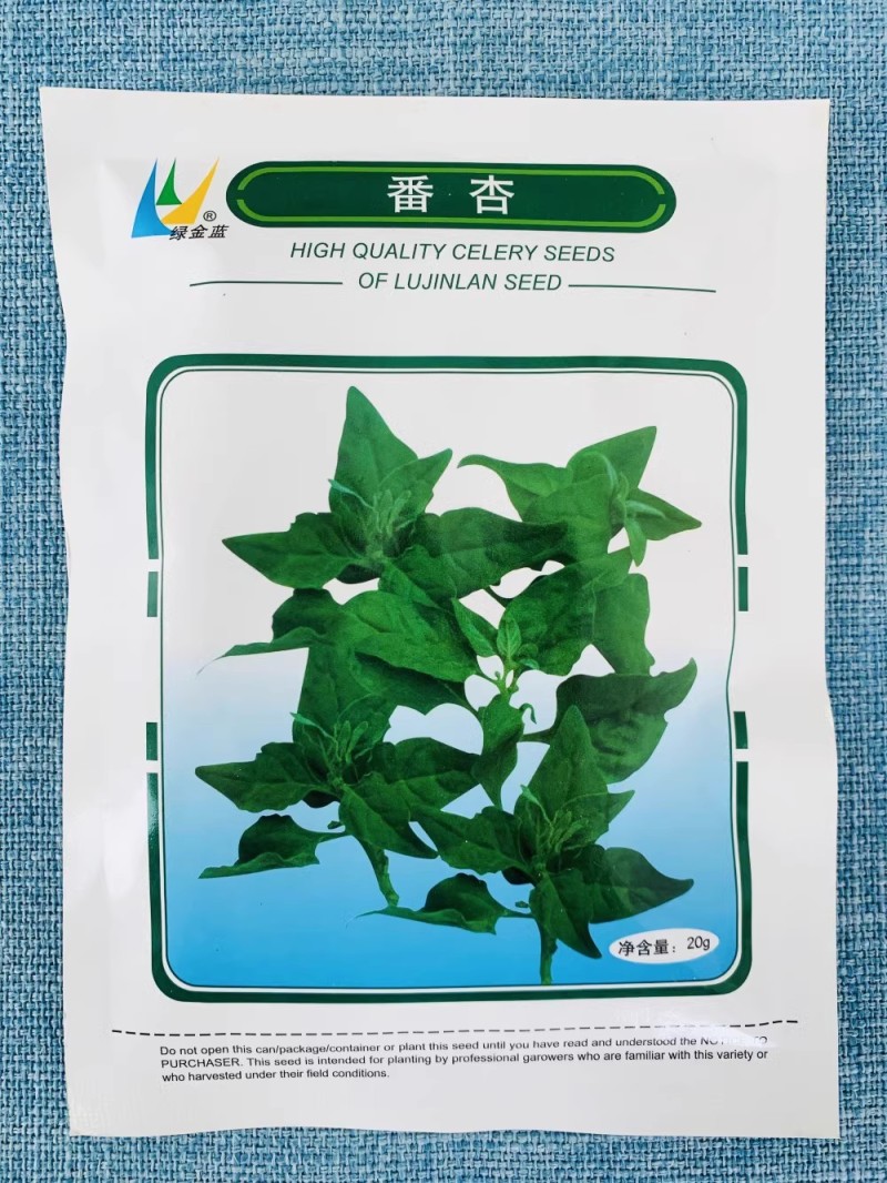 番杏种子洋菠菜新西兰菠菜种子春夏秋冬海滨篙苣四季种