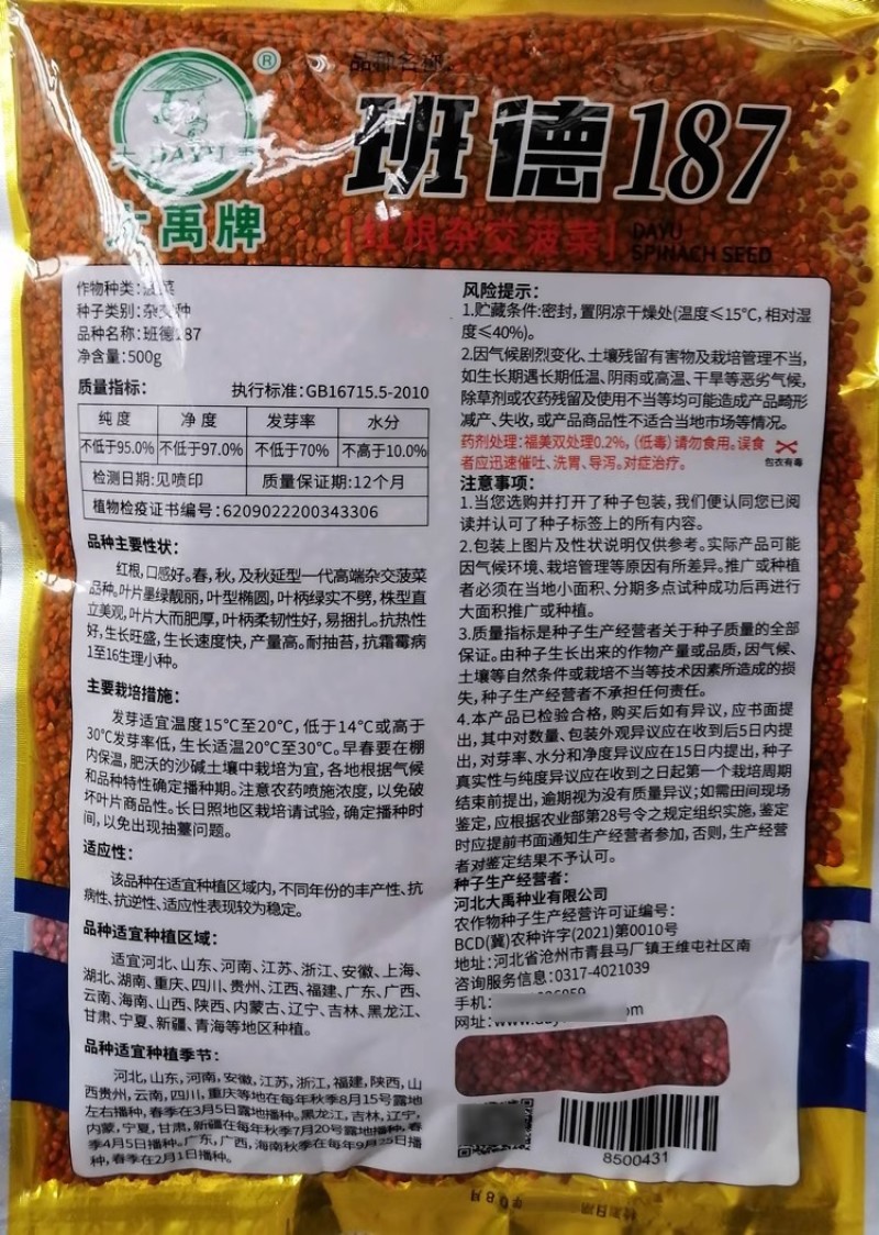 班德187杂交红根菠菜种子叶片大肥厚易捆扎耐抽苔