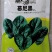 慕尼黑菠菜种子黑绿有光泽耐热耐抽苔起立性强