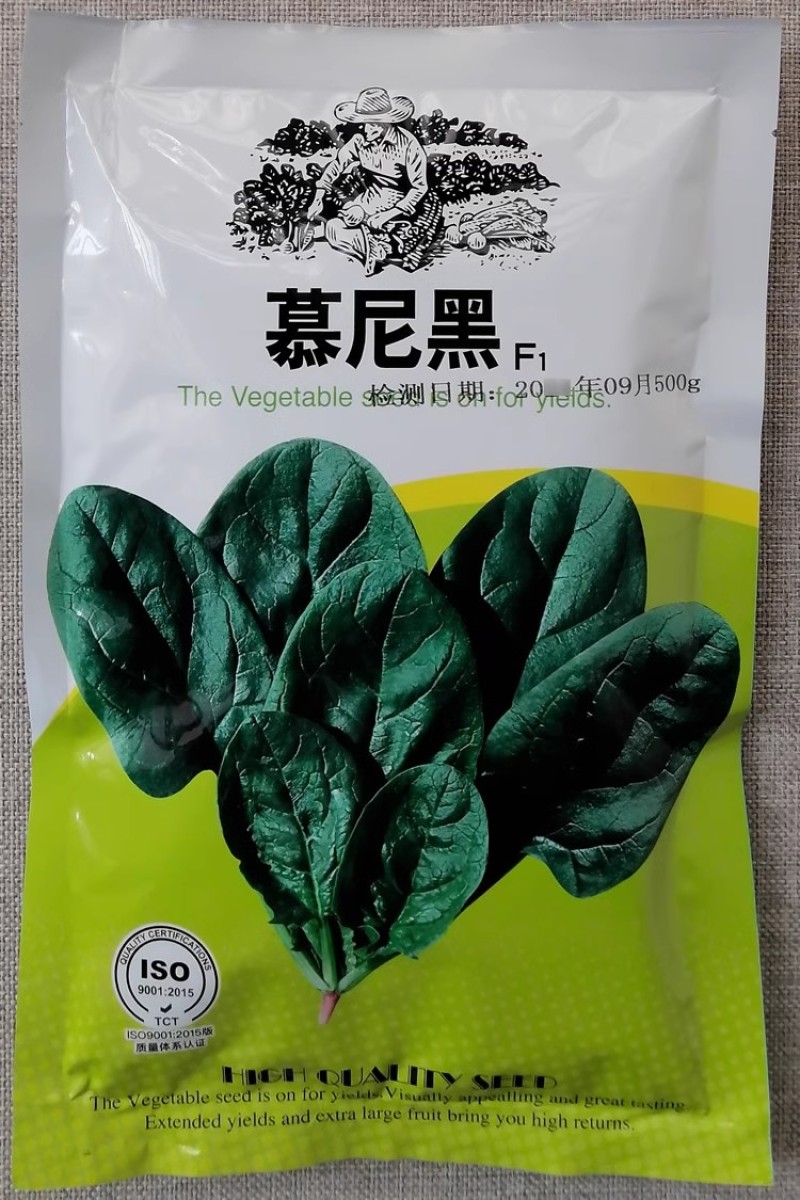 慕尼黑菠菜种子黑绿有光泽耐热耐抽苔起立性强