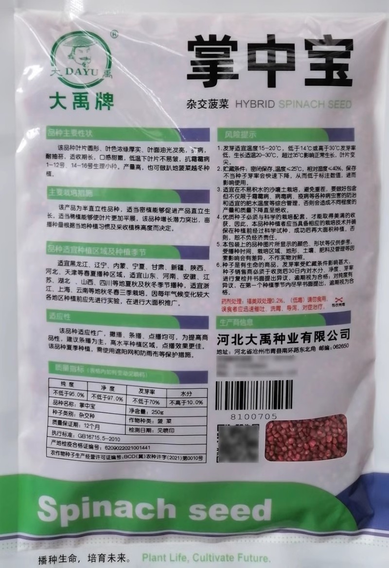 掌中宝杂交菠菜种子叶面浓绿油光抗病耐抽苔抗生理小种