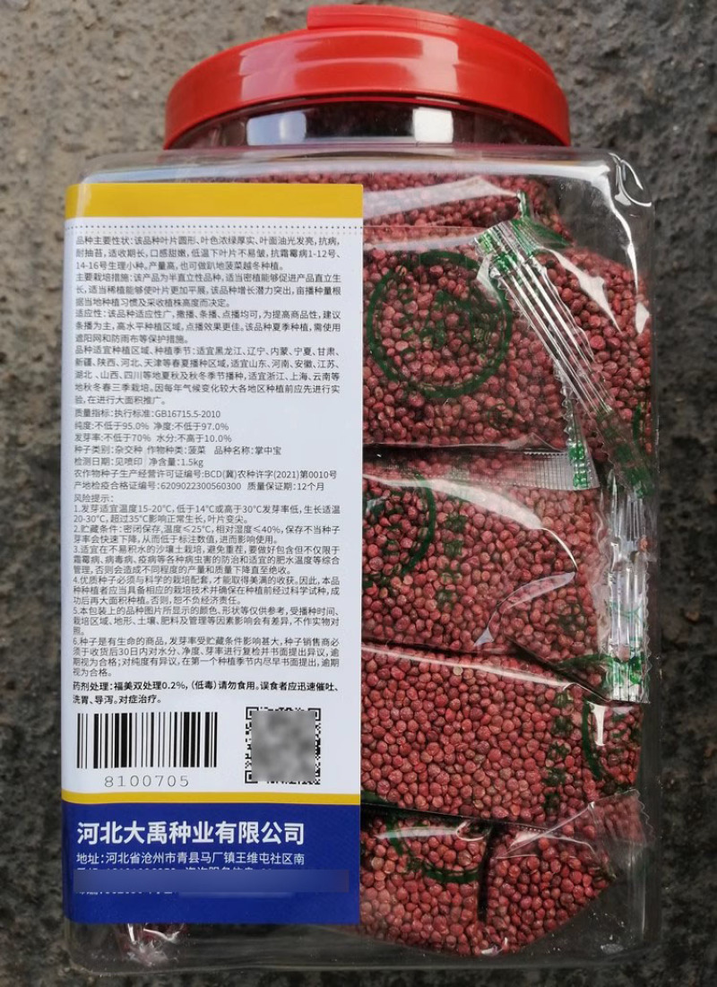 掌中宝杂交菠菜种子叶面浓绿油光抗病耐抽苔抗生理小种
