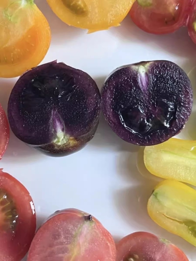 【顺丰京东】山东寿光黑紫色小番茄即食黑玫瑰圣女果花青素水