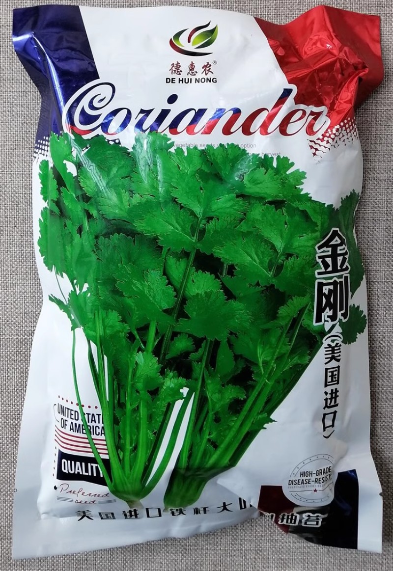 金刚美国进口香菜种子耐热耐寒耐抽苔大油亮香味浓郁