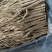 【优选】防风精加工品质优良诚信经营可视频看货