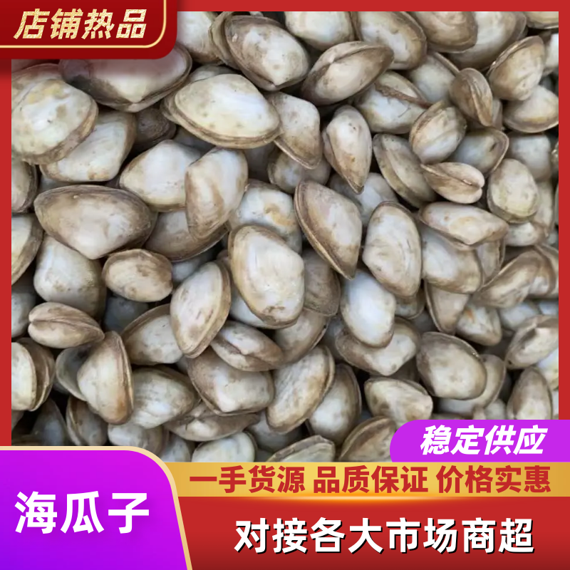 海瓜子，鲜活发货，大个，长年有货