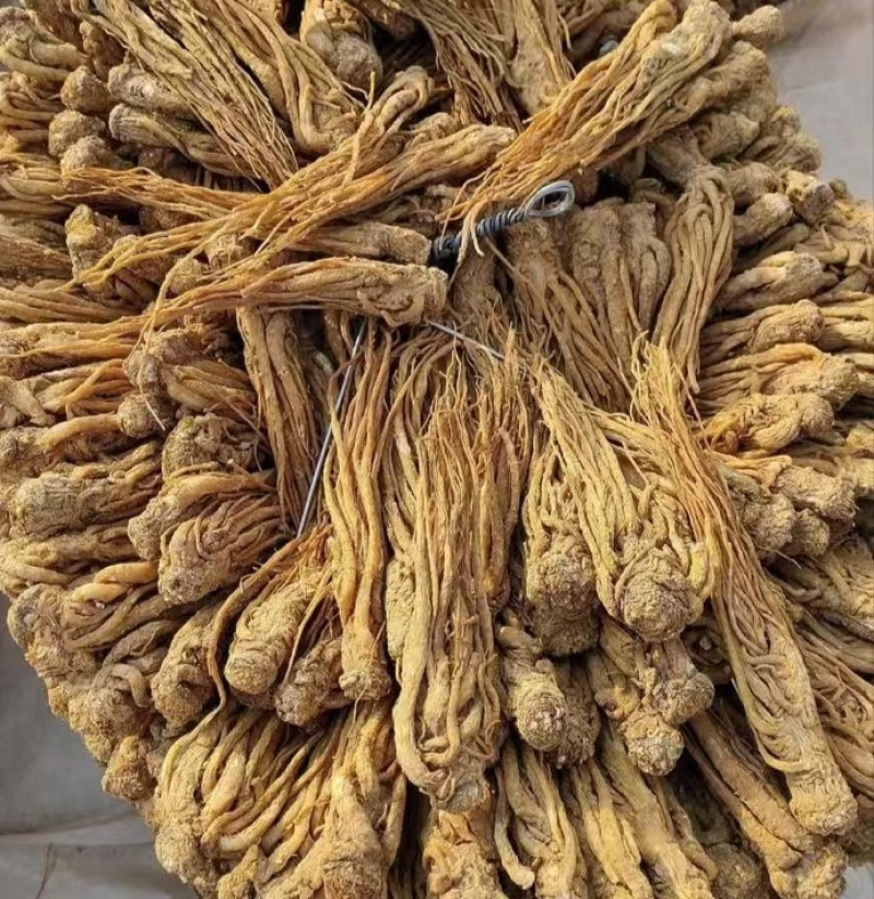 甘肃岷县水洗无硫当归大量新货可全国发货欢迎老板选购