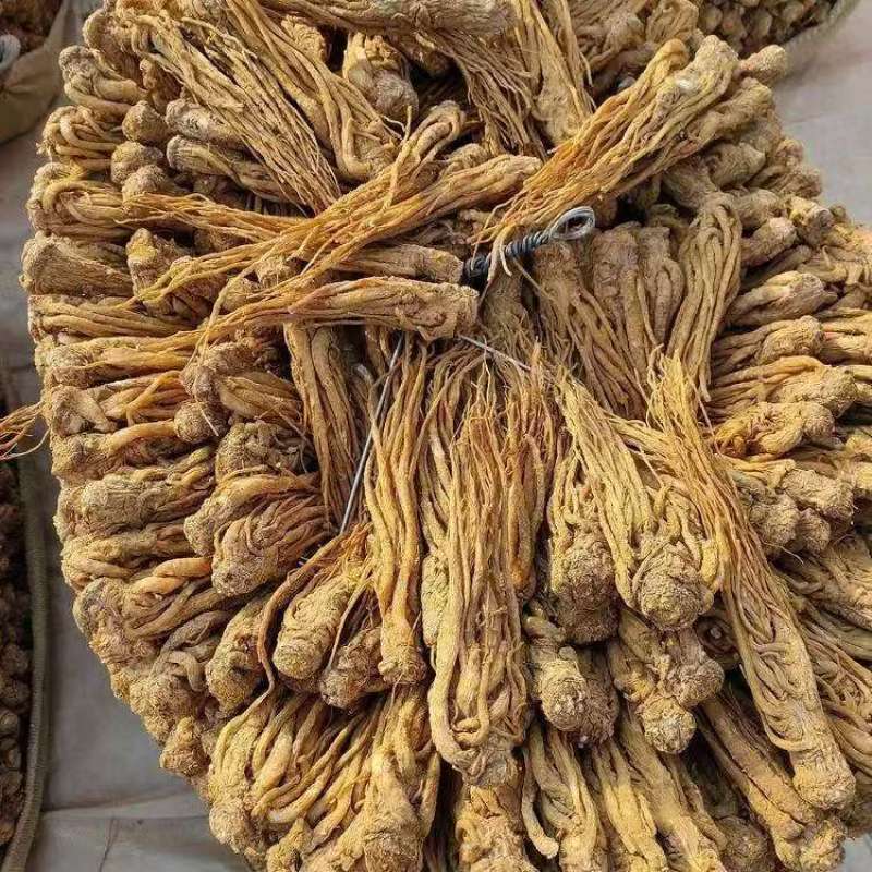 甘肃岷县水洗无硫当归大量新货可全国发货欢迎老板选购