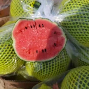 好货推荐小糖丸西瓜基地直发保质保量走货中可视频