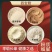 中药材纯丹参粉特级正品紫丹参丹参粉