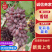 茉莉香葡萄品质保证支持视频看货欢迎来电洽谈价格更优惠